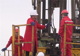 大港油田井下作業公司與準東采油廠開展技術交流 共促油田開采技術創新